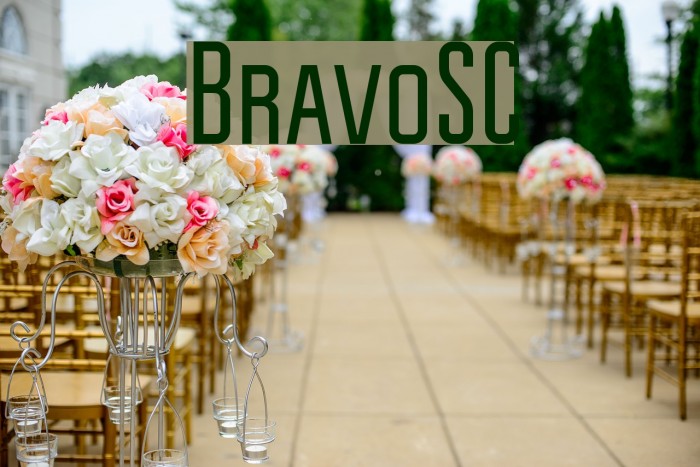 BravoSC Font examples
