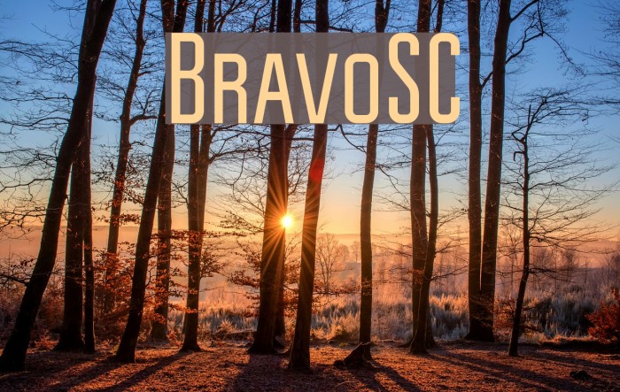 BravoSC Font examples