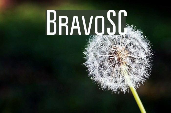 BravoSC Font examples