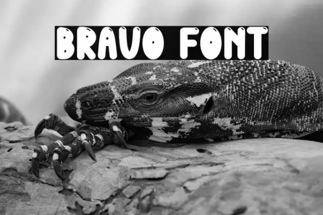 Bravo Polices examples