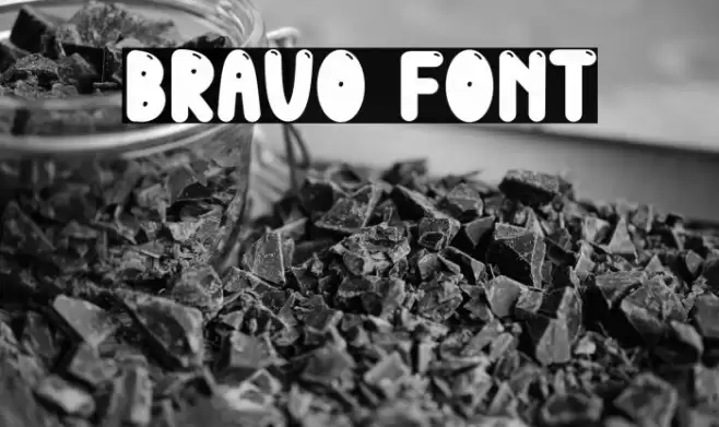 Bravo Polices examples