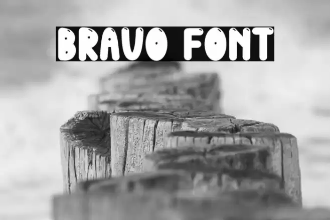 Bravo Polices examples