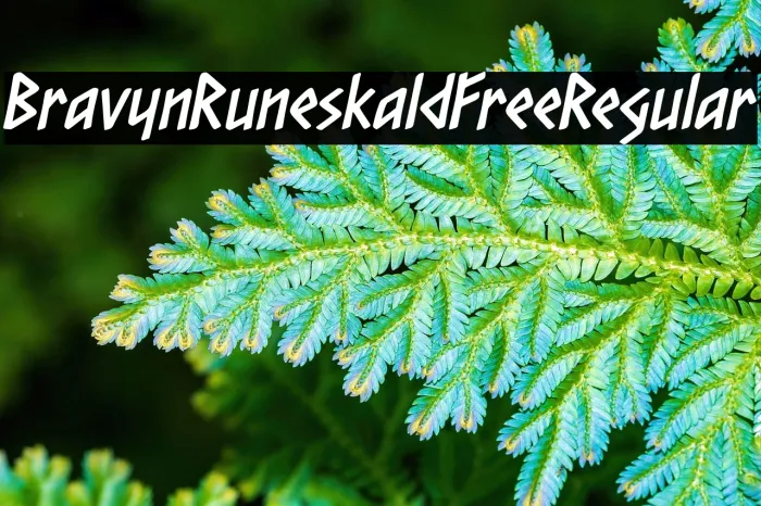 Bravyn Runeskald Free Regular Example 1