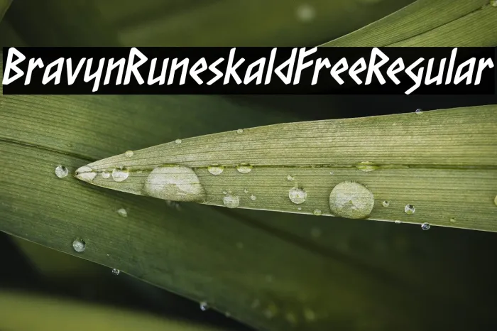 Bravyn Runeskald Free Regular Example 2