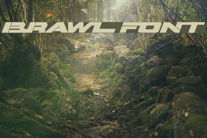 Brawl Font examples