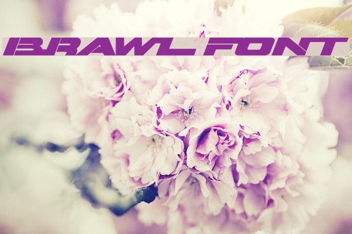 Brawl Font examples