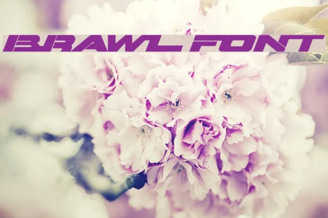 Brawl Example 2