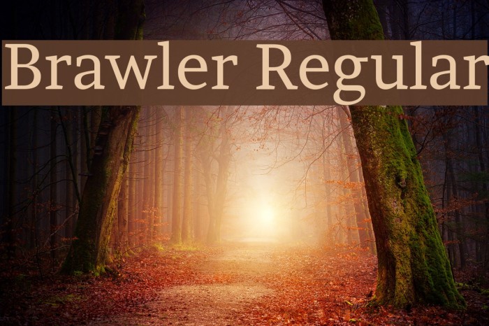 Brawler Regular Font examples
