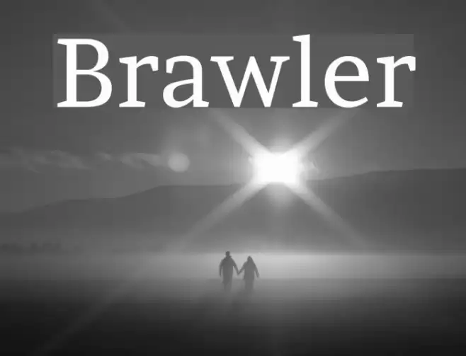 Brawler Font examples