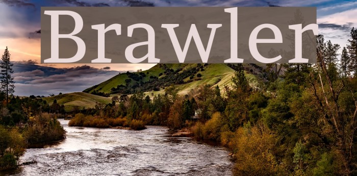 Brawler Font examples