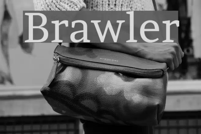 Brawler Font examples