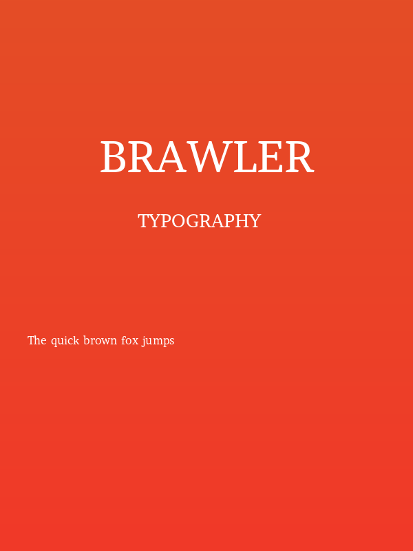 Brawler Poster