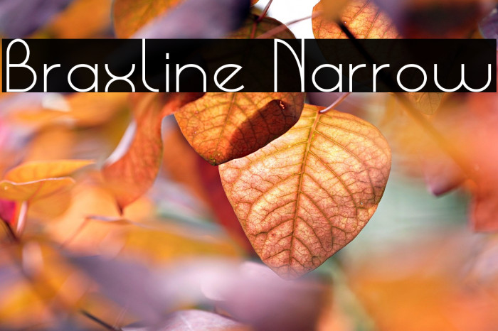 Braxline Narrow Example 2