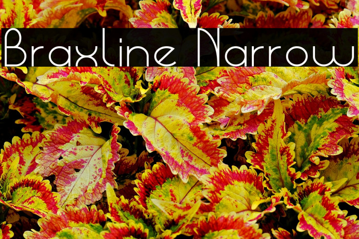 Braxline Narrow Example 3