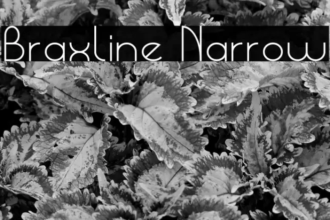 Braxline Narrow Font examples