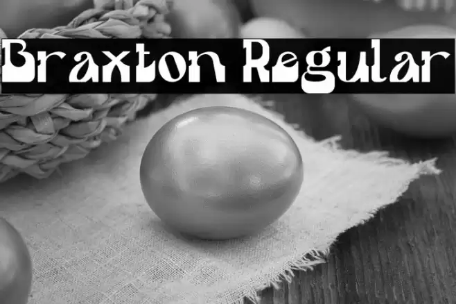 Braxton Regular Font examples
