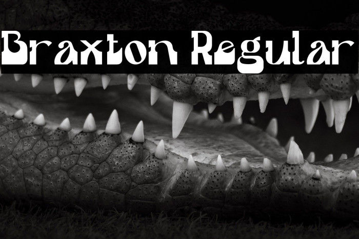 Braxton Regular Example 2