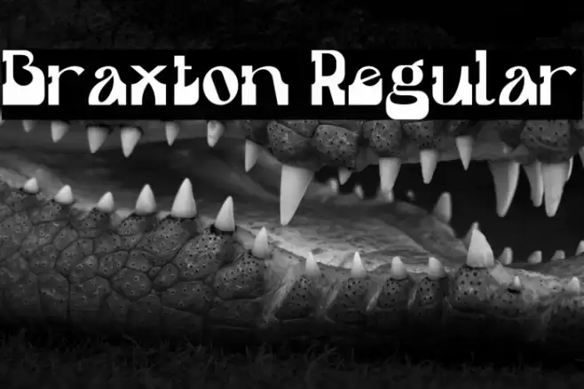 Braxton Regular Font examples