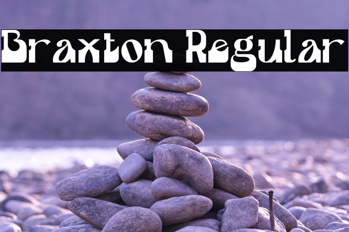 Braxton Regular Example 3