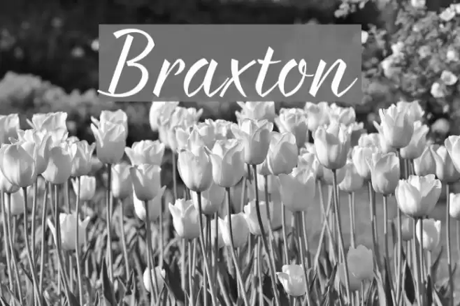 Braxton Font examples