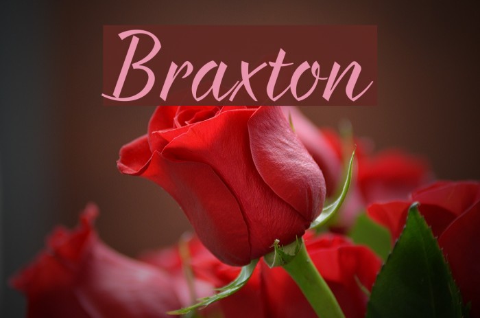 Braxton Font examples