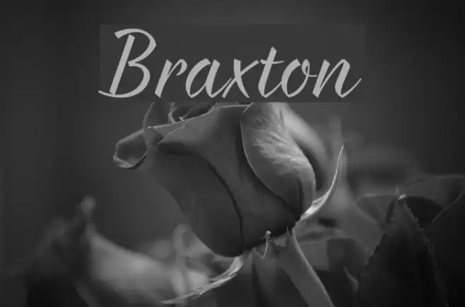 Braxton Font examples