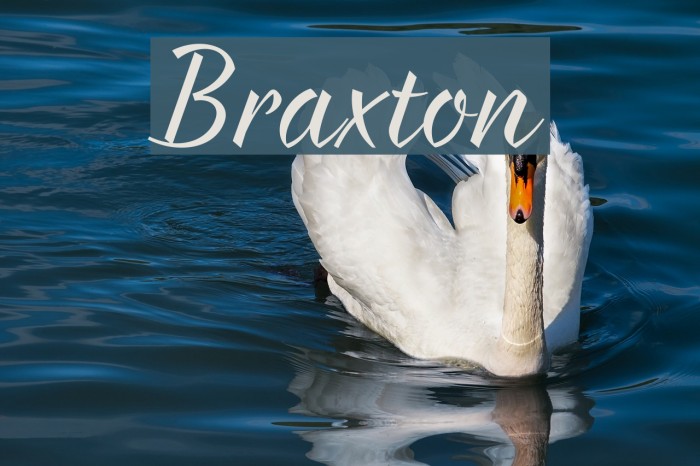 Braxton Font examples