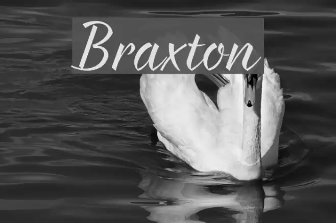 Braxton Font examples