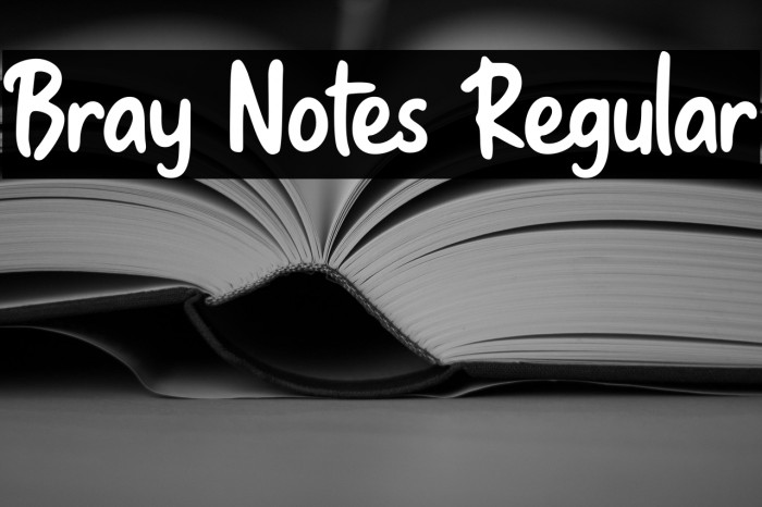 Bray Notes Regular Example 1