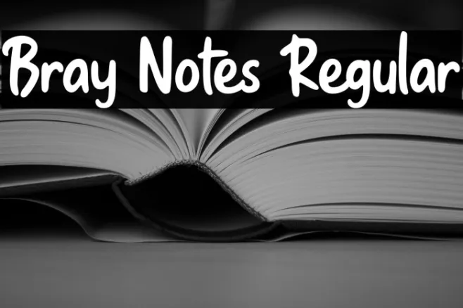 Bray Notes Regular Example 1