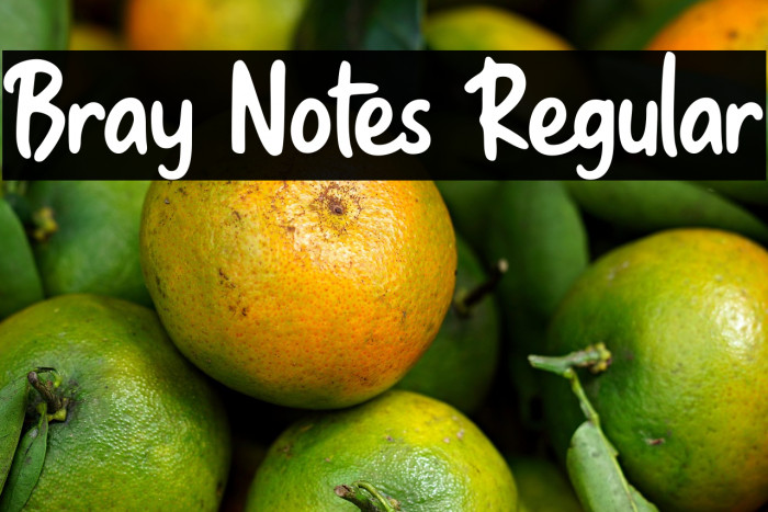 Bray Notes Regular Example 2