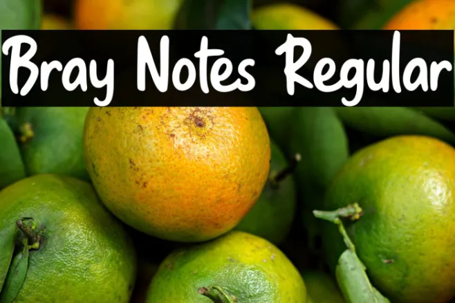 Bray Notes Regular Example 2