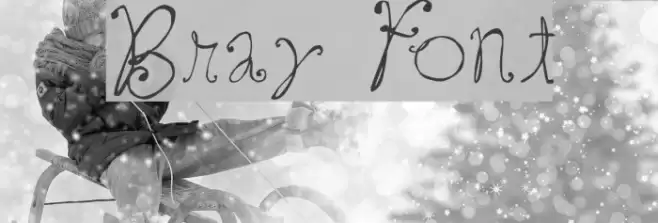 Bray フォント examples