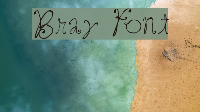 Bray フォント examples