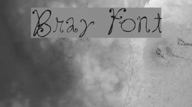 Bray フォント examples