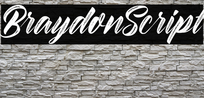 BraydonScript Example 1