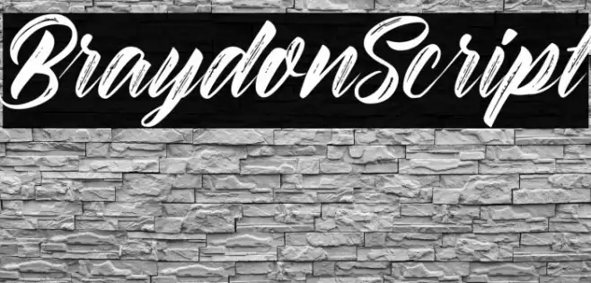 BraydonScript フォント examples