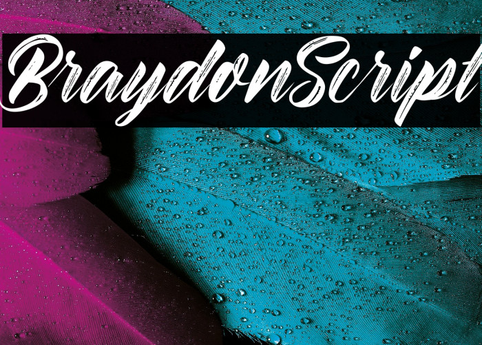 BraydonScript Example 2