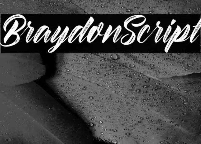 BraydonScript フォント examples