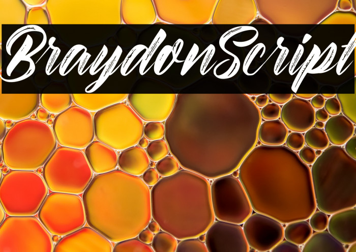 BraydonScript Example 3