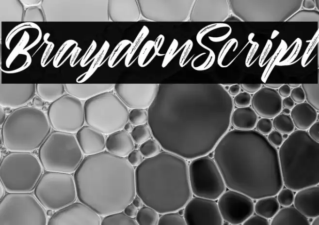 BraydonScript フォント examples