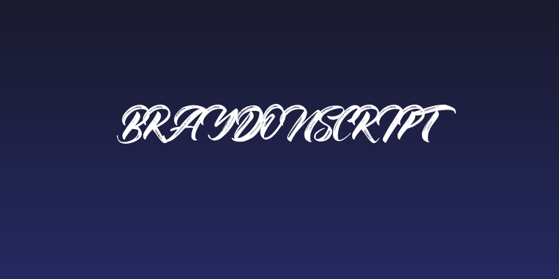 BraydonScript Social Header