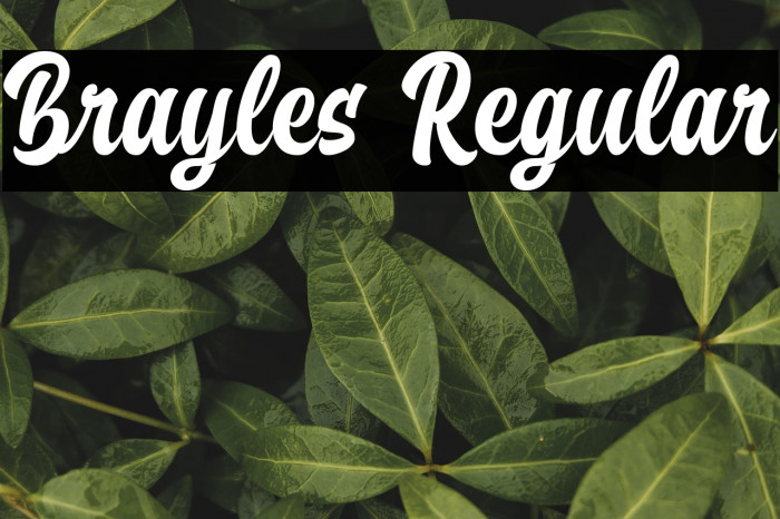 Brayles Regular Example 1