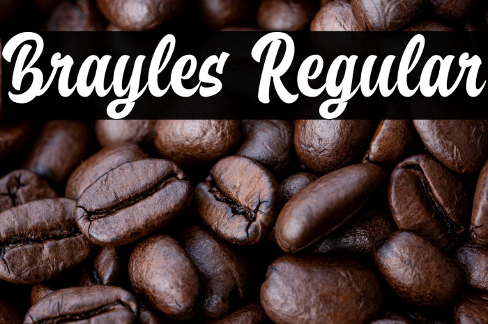 Brayles Regular Example 2