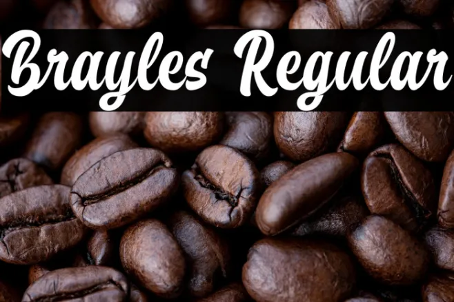 Brayles Regular Example 2