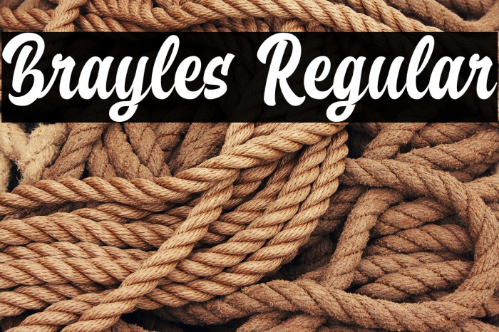 Brayles Regular Example 3