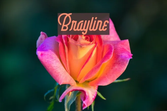 Brayline Example 1