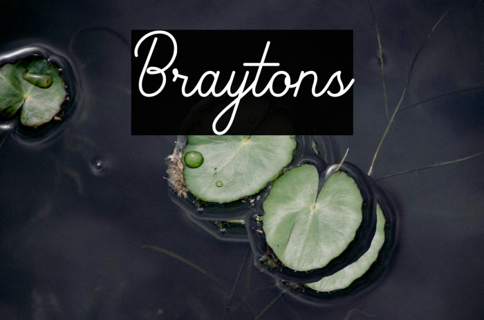 Braytons Font examples