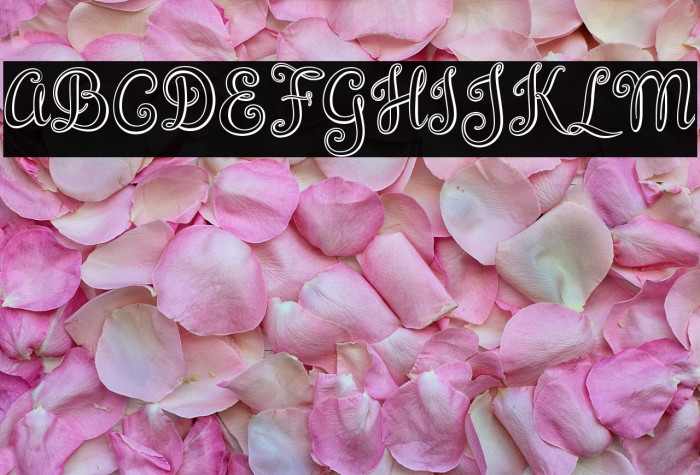 BrazilianScript Example 1