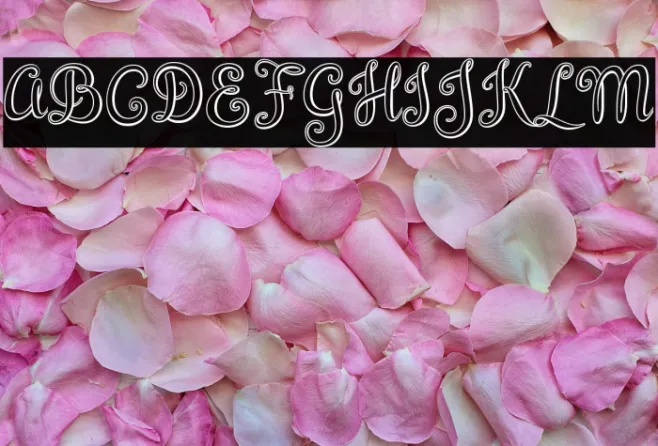 BrazilianScript Example 1